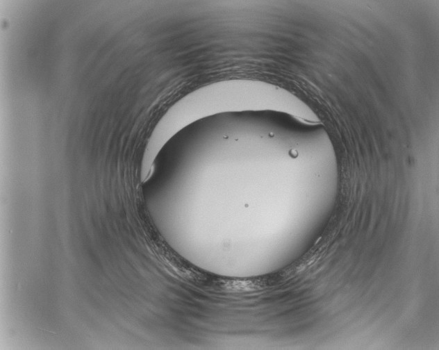 X0000058130091200510171347