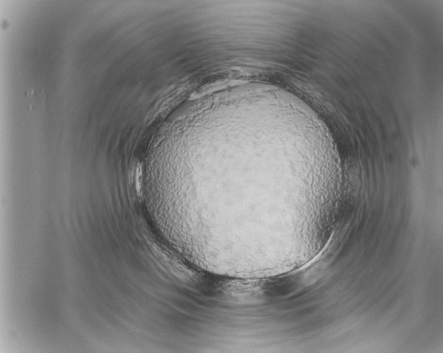 X0000058130094200510171347