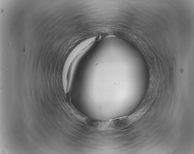 X0000058130096200510171347