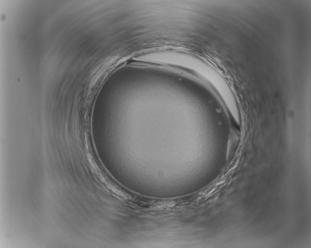 X0000058130097200510171347