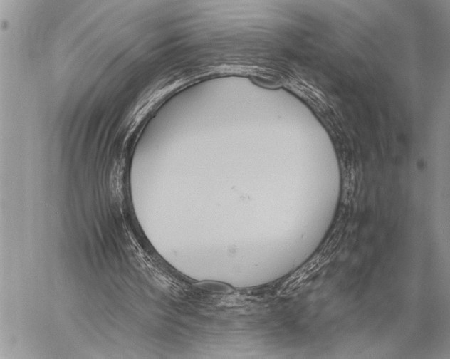 X0000058130098200510171347