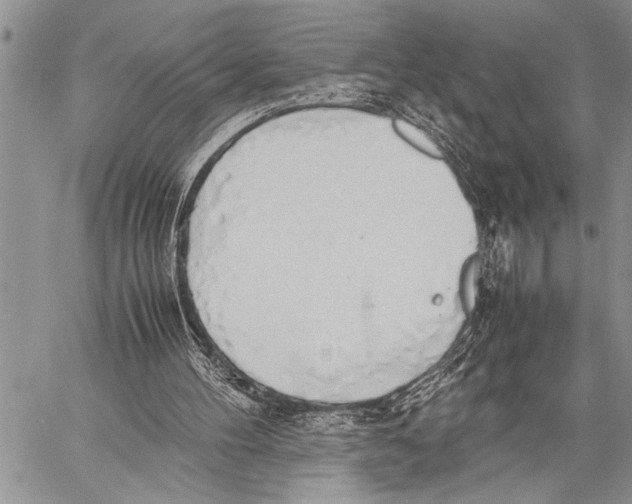 X0000058130100200510171347