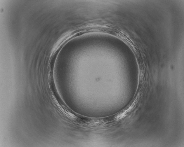 X0000058130101200510171347