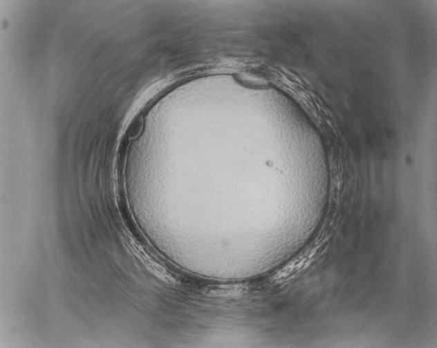 X0000058130102200510171347