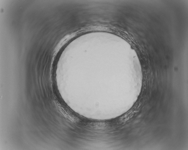 X0000058130104200510171347