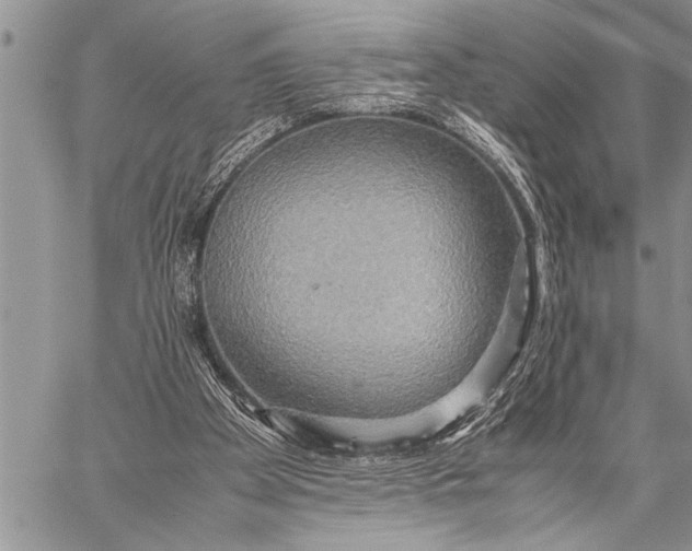 X0000058130105200510171347