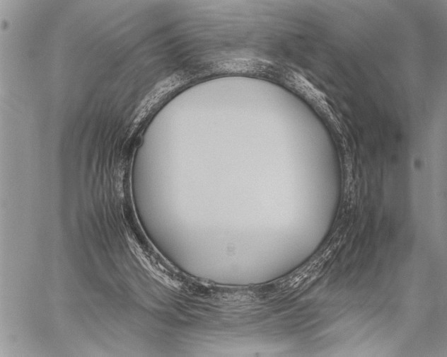 X0000058130106200510171346