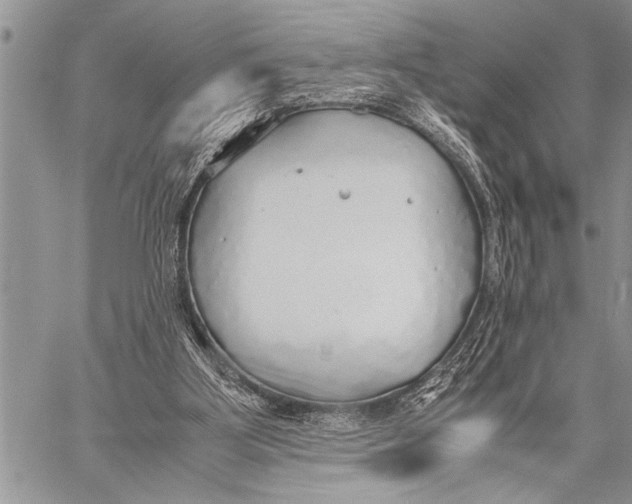 X0000058130107200510171346