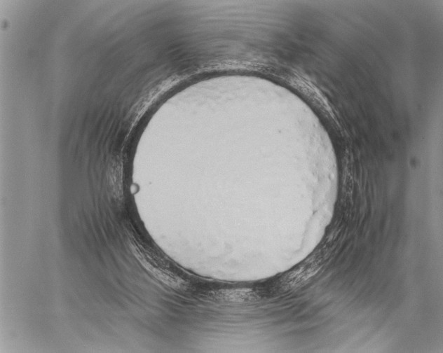 X0000058130108200510171346