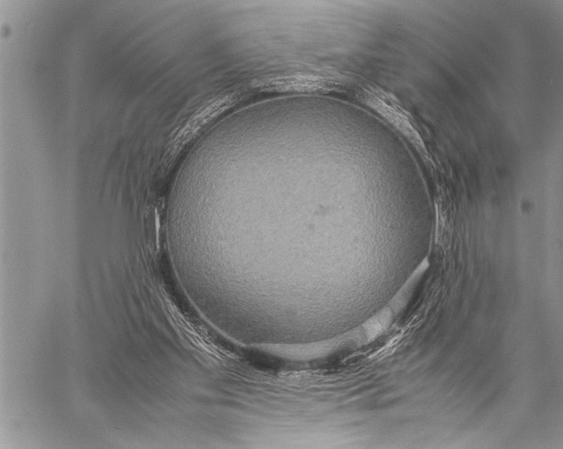 X0000058130109200510171346