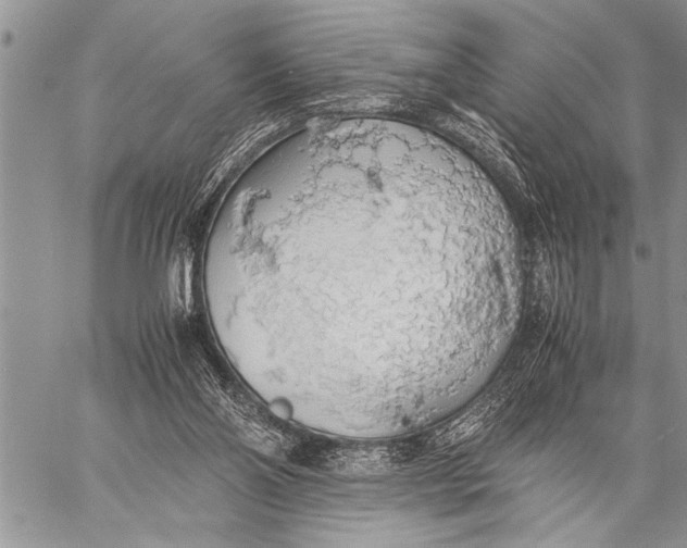 X0000058130110200510171346