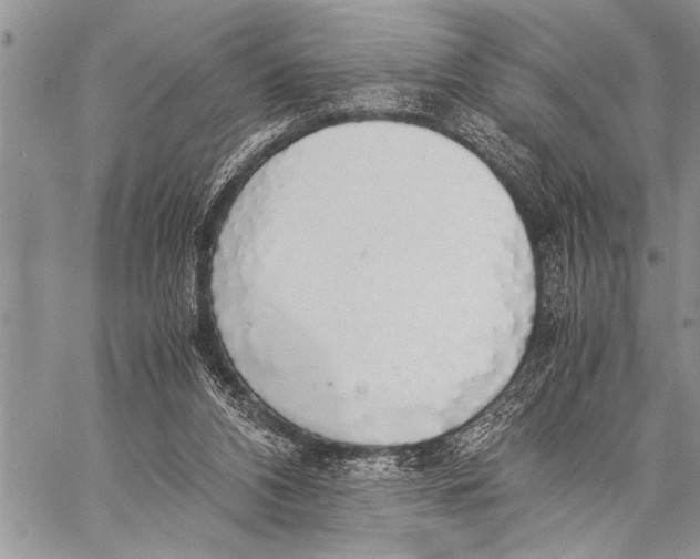 X0000058130112200510171346