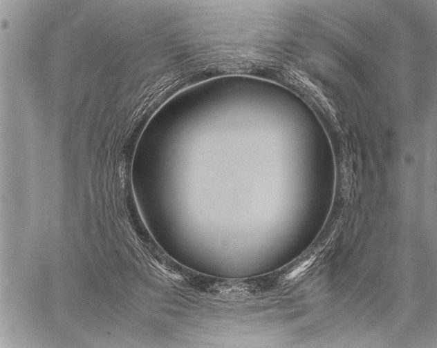 X0000058130113200510171346