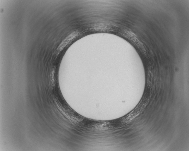 X0000058130116200510171346