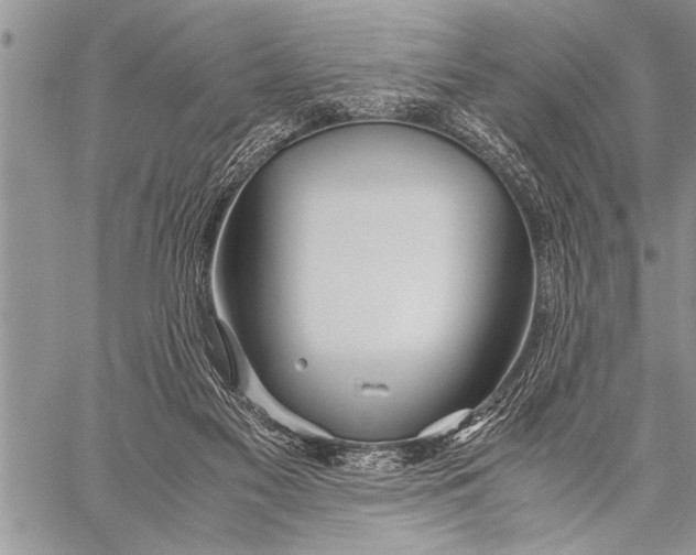 X0000058130117200510171346