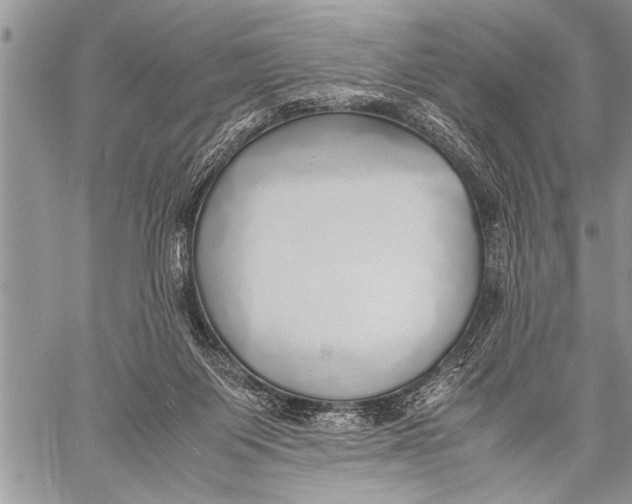 X0000058130119200510171346