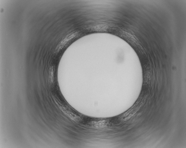 X0000058130120200510171346