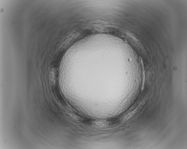 X0000058130121200510171346