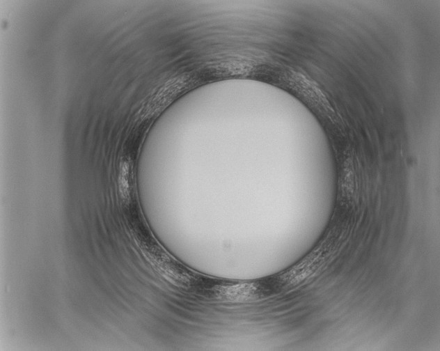 X0000058130122200510171346