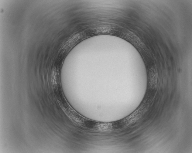 X0000058130126200510171346