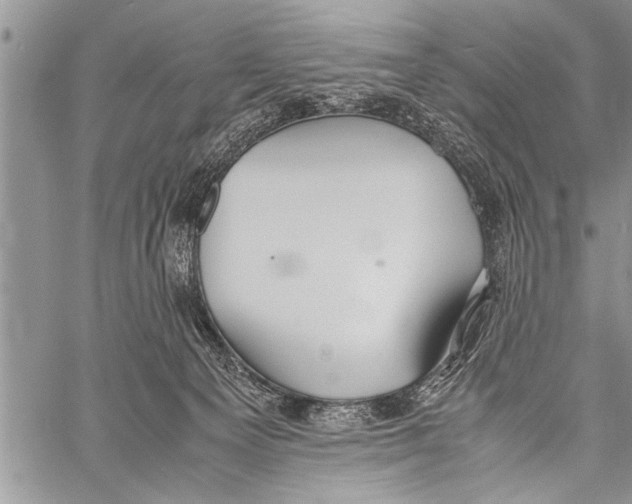 X0000058130129200510171346