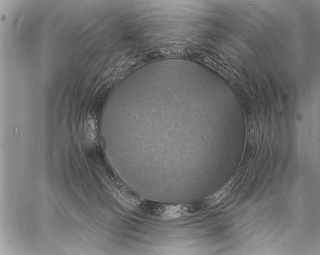 X0000058130130200510171346