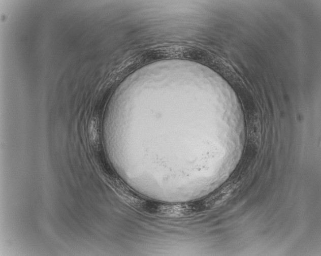 X0000058130131200510171346