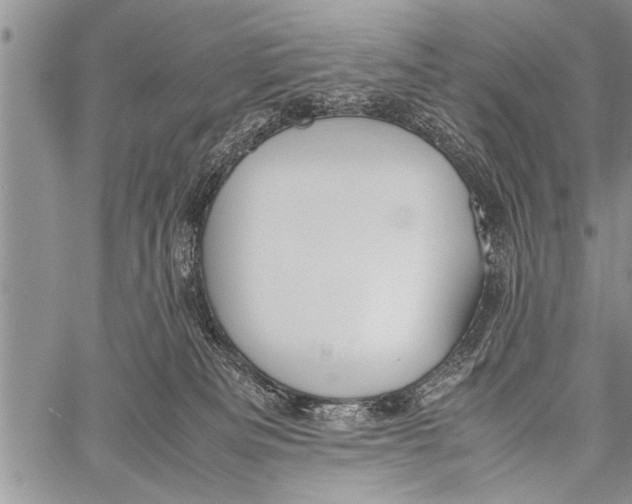 X0000058130133200510171346