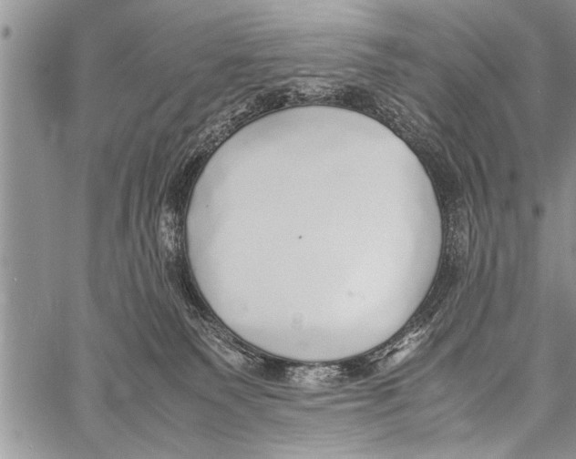 X0000058130135200510171346