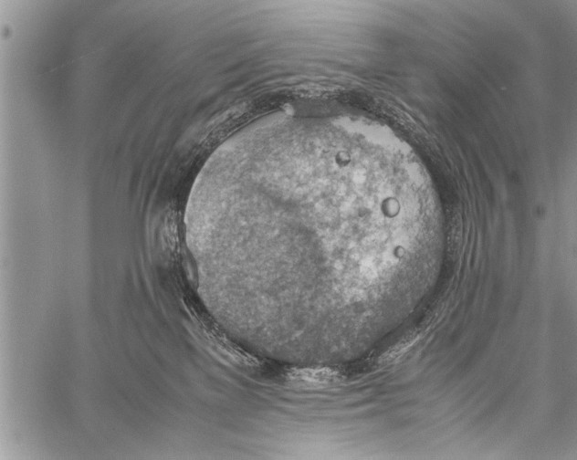 X0000058130137200510171346