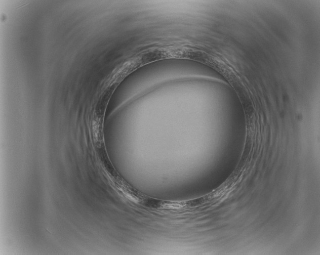 X0000058130139200510171346