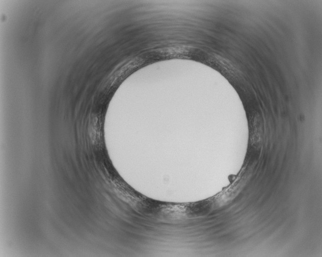 X0000058130140200510171346