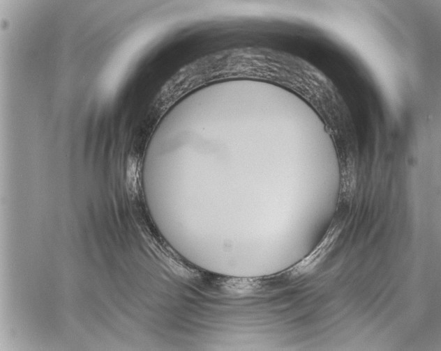 X0000058130142200510171346