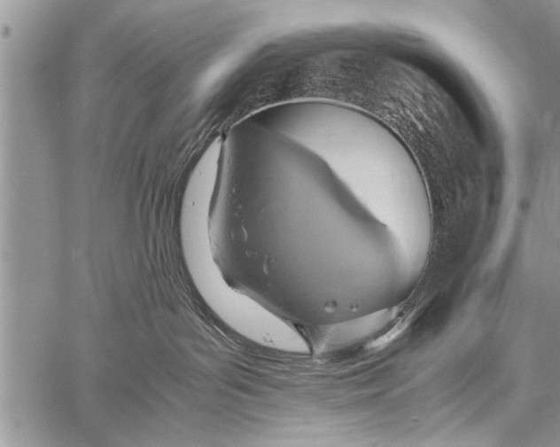 X0000058130143200510171346