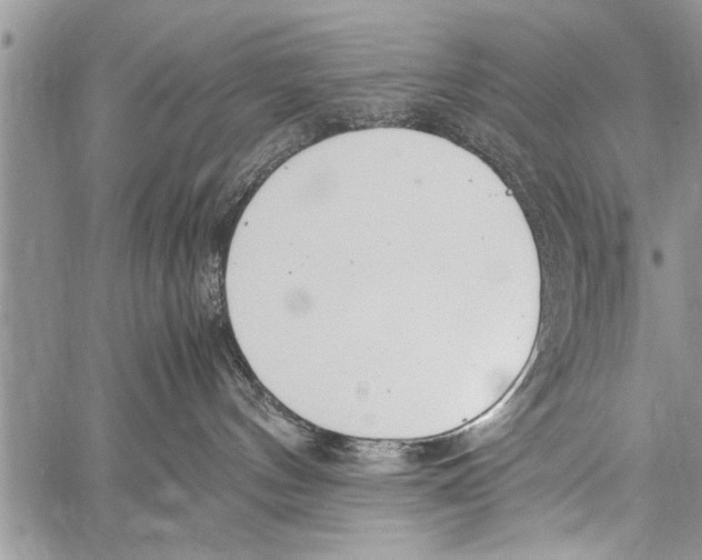 X0000058130144200510171346