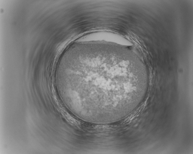 X0000058130145200510171345