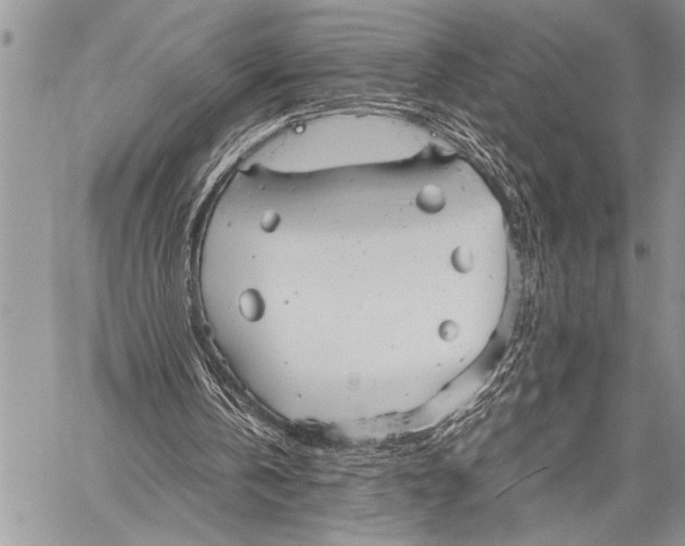 X0000058130146200510171345