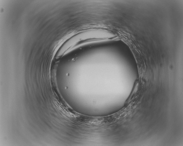 X0000058130148200510171345