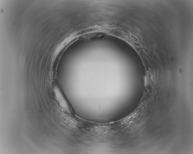 X0000058130150200510171345