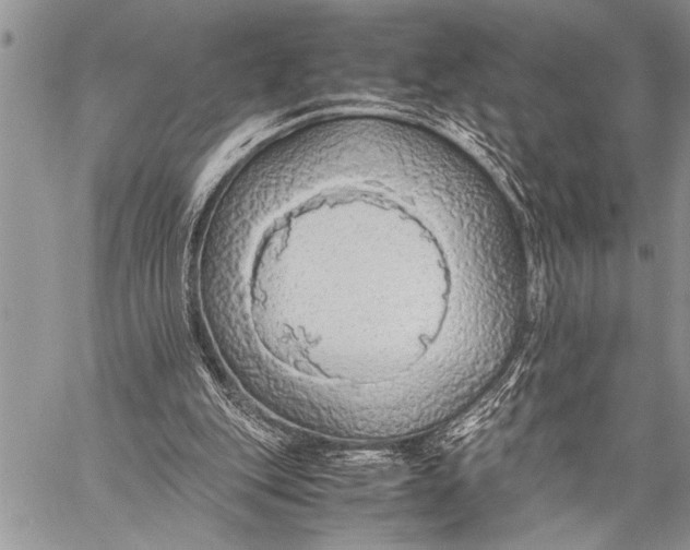 X0000058130151200510171345