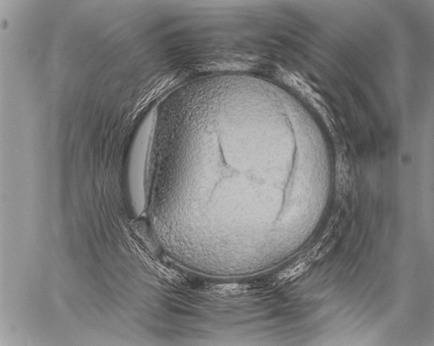 X0000058130153200510171345