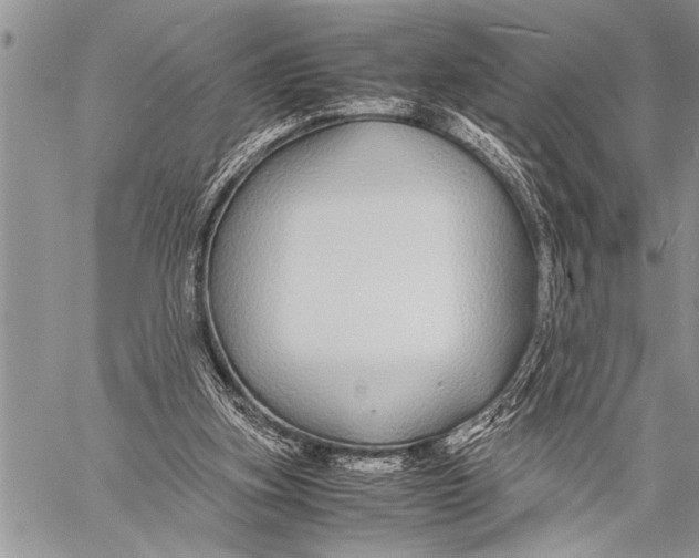 X0000058130155200510171345