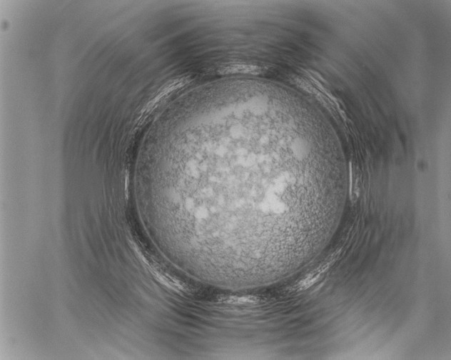 X0000058130157200510171345