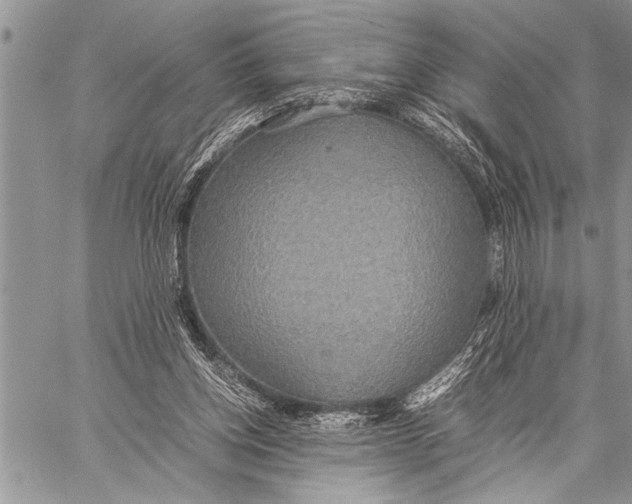 X0000058130158200510171345