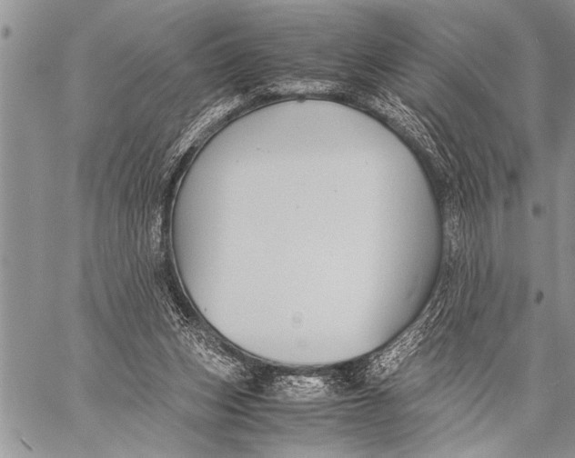 X0000058130159200510171345