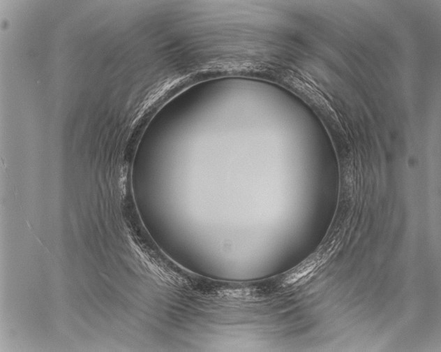 X0000058130160200510171345