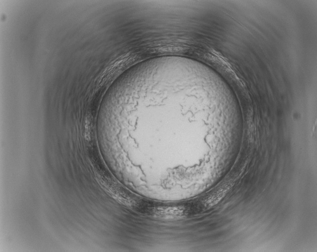 X0000058130161200510171345