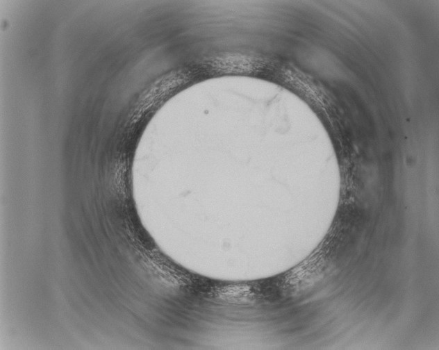 X0000058130162200510171345