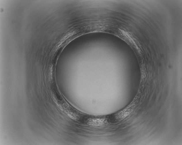 X0000058130163200510171345