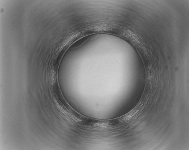 X0000058130164200510171345